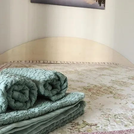Butas Su Terasa Palangos Centre Apartment *